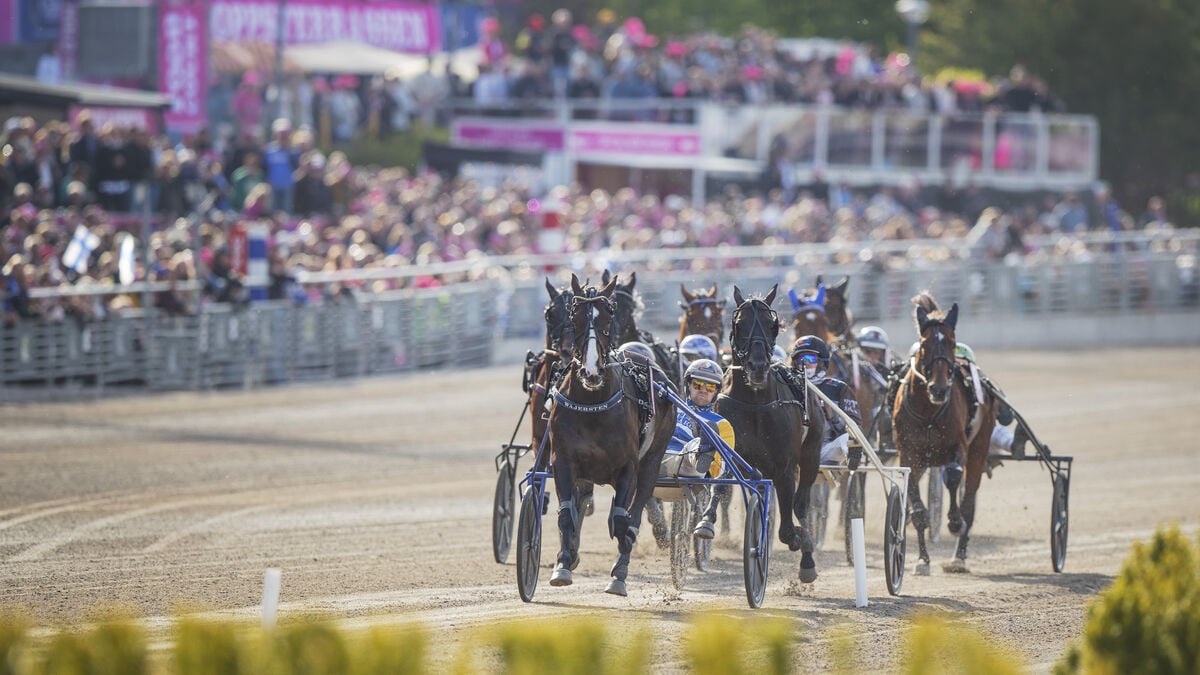 Star trainer Maria Törnqvist gets license back after horse-whipping suspension