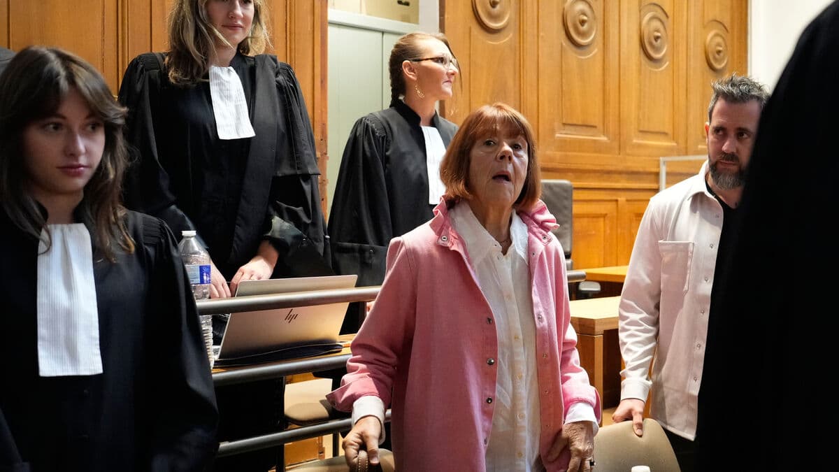 Appealed Pelicot Case: Man Receives Stricter 10-Year Sentence