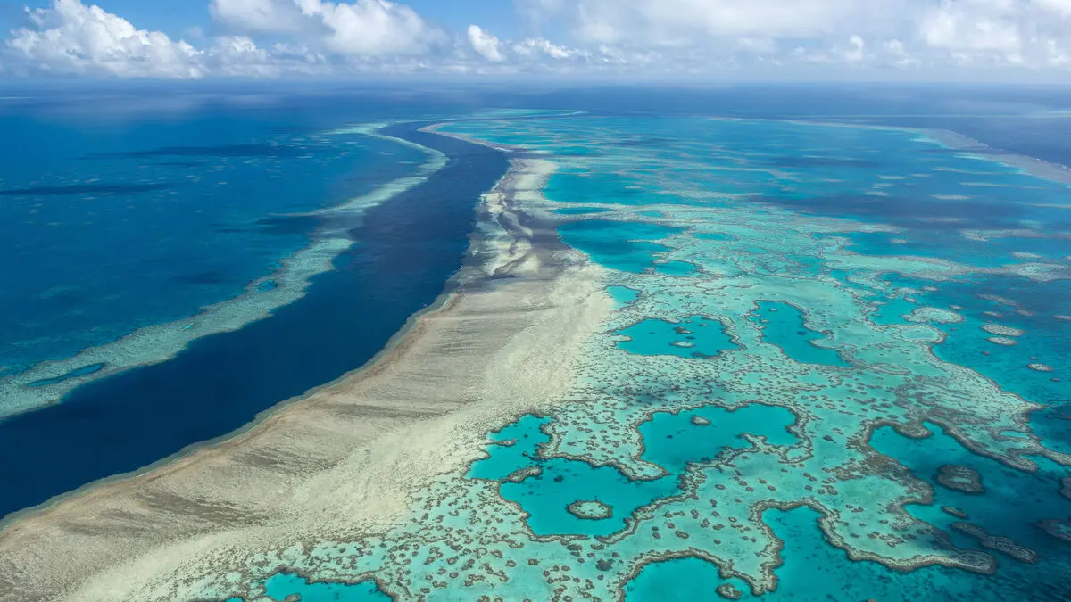 Great Barrier Reef avoids endangered listing despite UN concerns over bleaching
