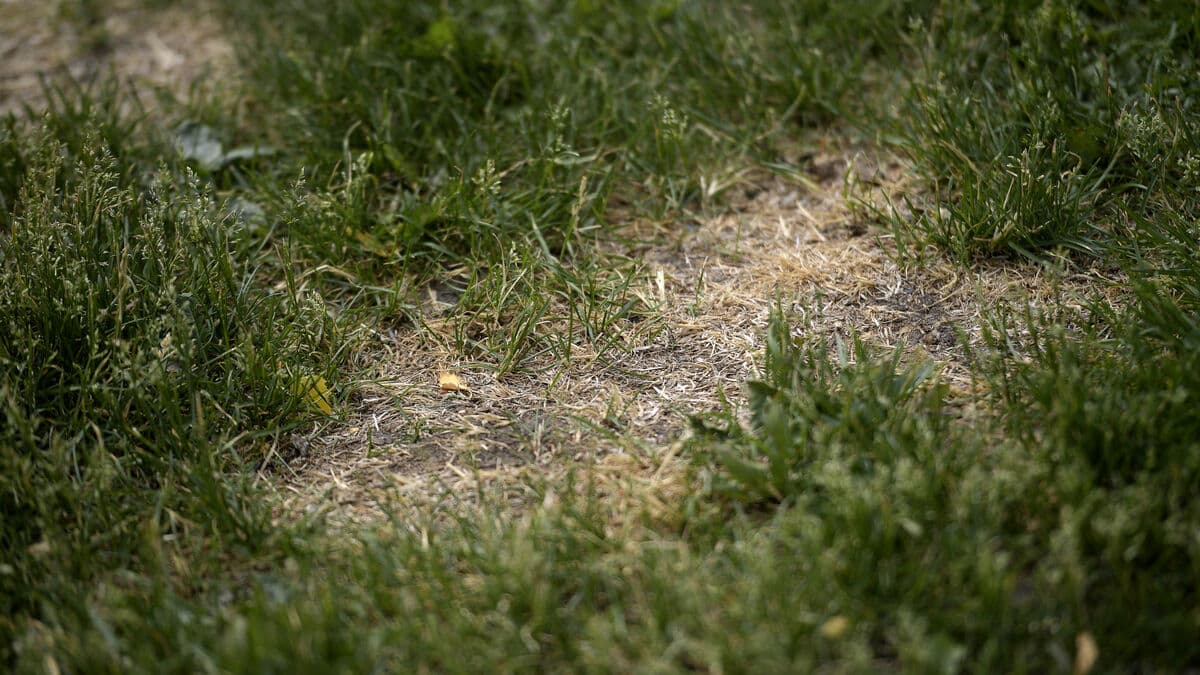 Area in Småland cordoned off after high arsenic levels found in soil
