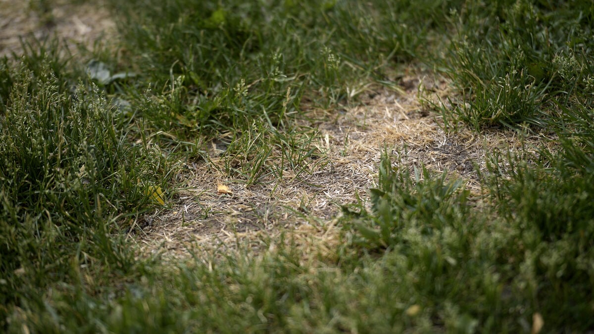 Area in Småland cordoned off after high arsenic levels found in soil