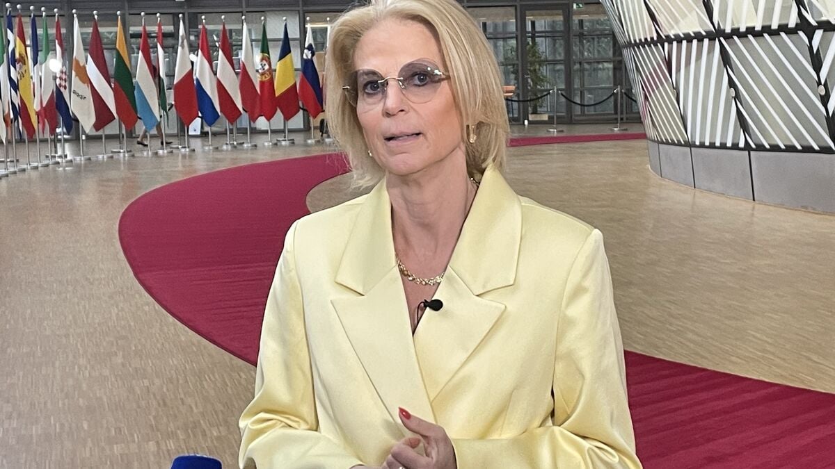 Svantesson: EU gives green light to Sweden's reduced fuel tax for up to five months