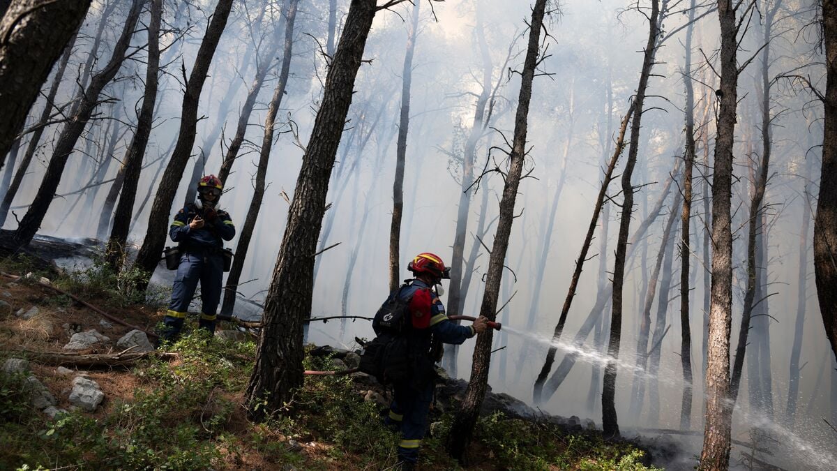 Hundreds of firefighters battle wildfire threatening Greek holiday resort near Athens