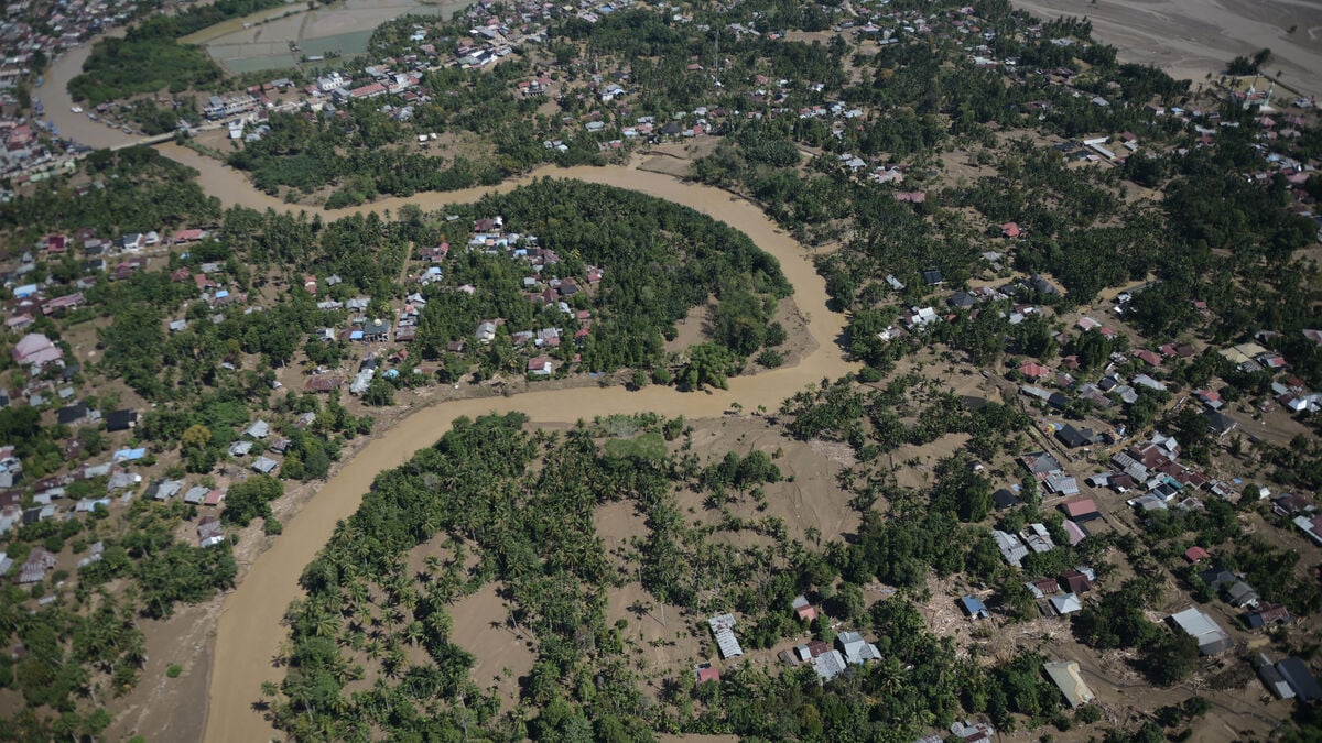 Floods hit endangered orangutan hard