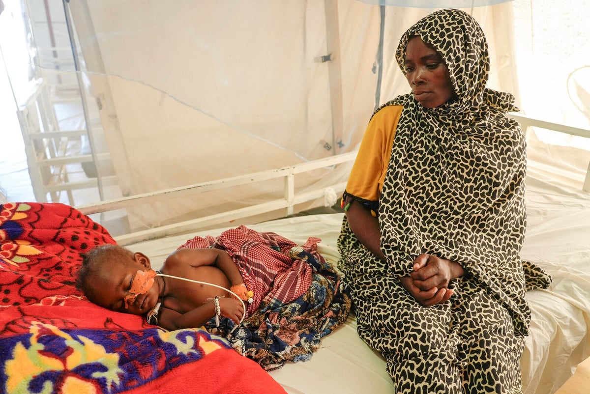 Global Hunger Declines in 2024 but Rises in Africa and Western Asia