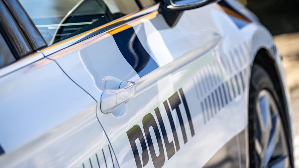 Three Danish teenagers arrested over suspected school terror plot in Jutland
