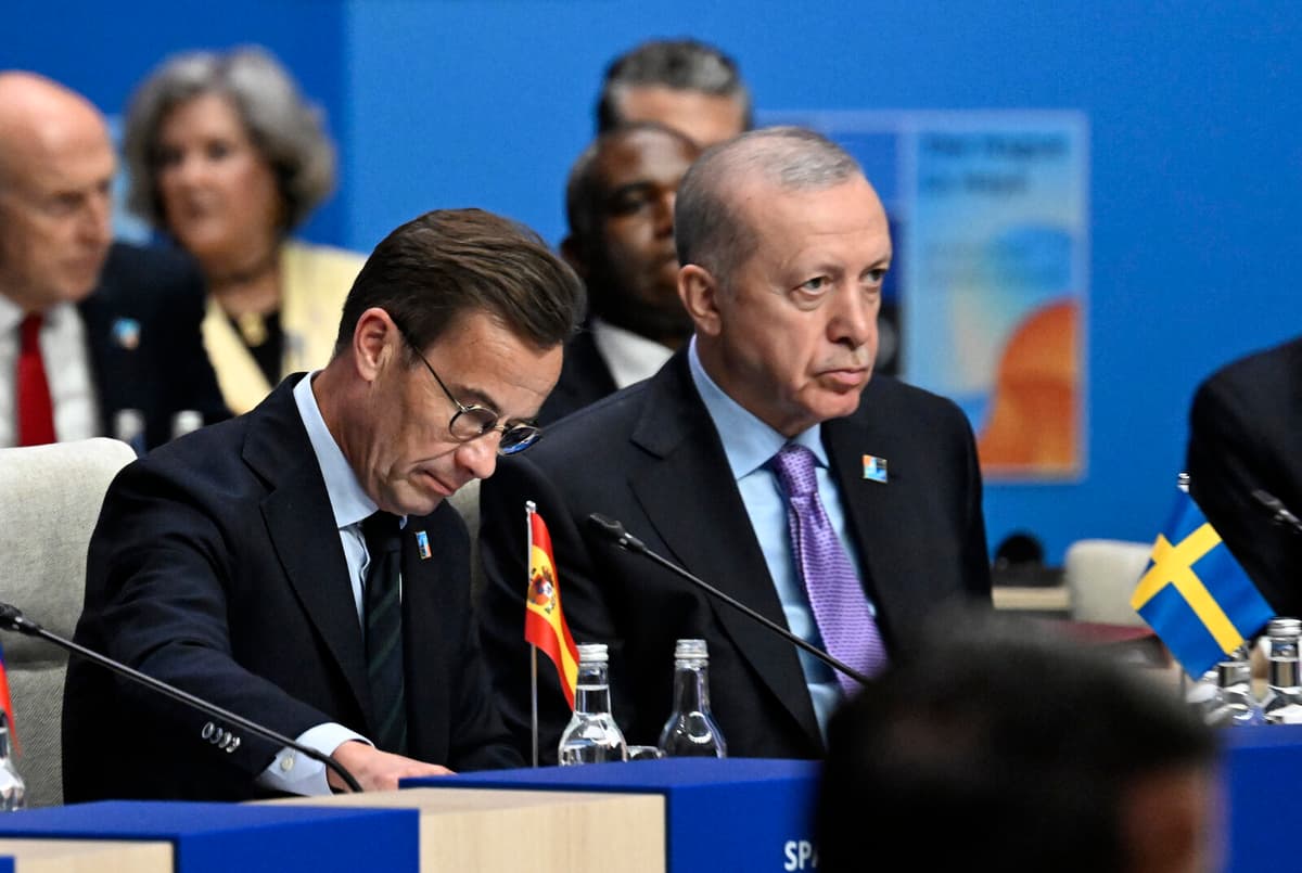 NATO Buildup Agreed for Swedish Security Boost