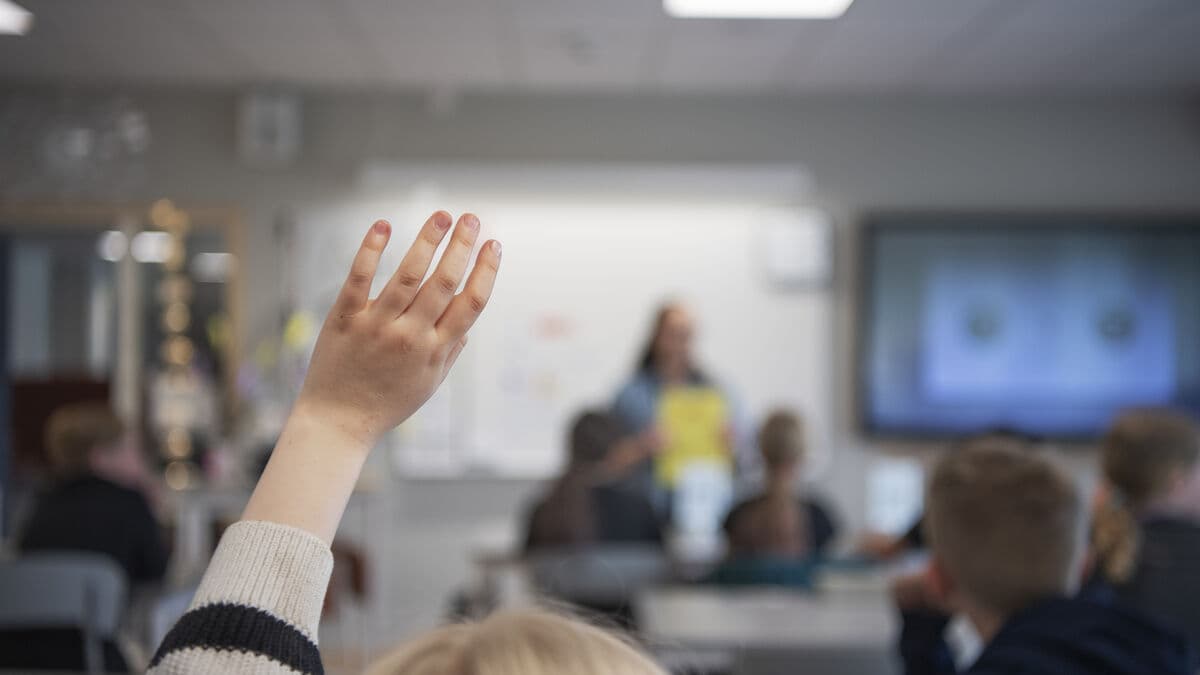 Social Democrats propose daily reading in primary schools to boost literacy