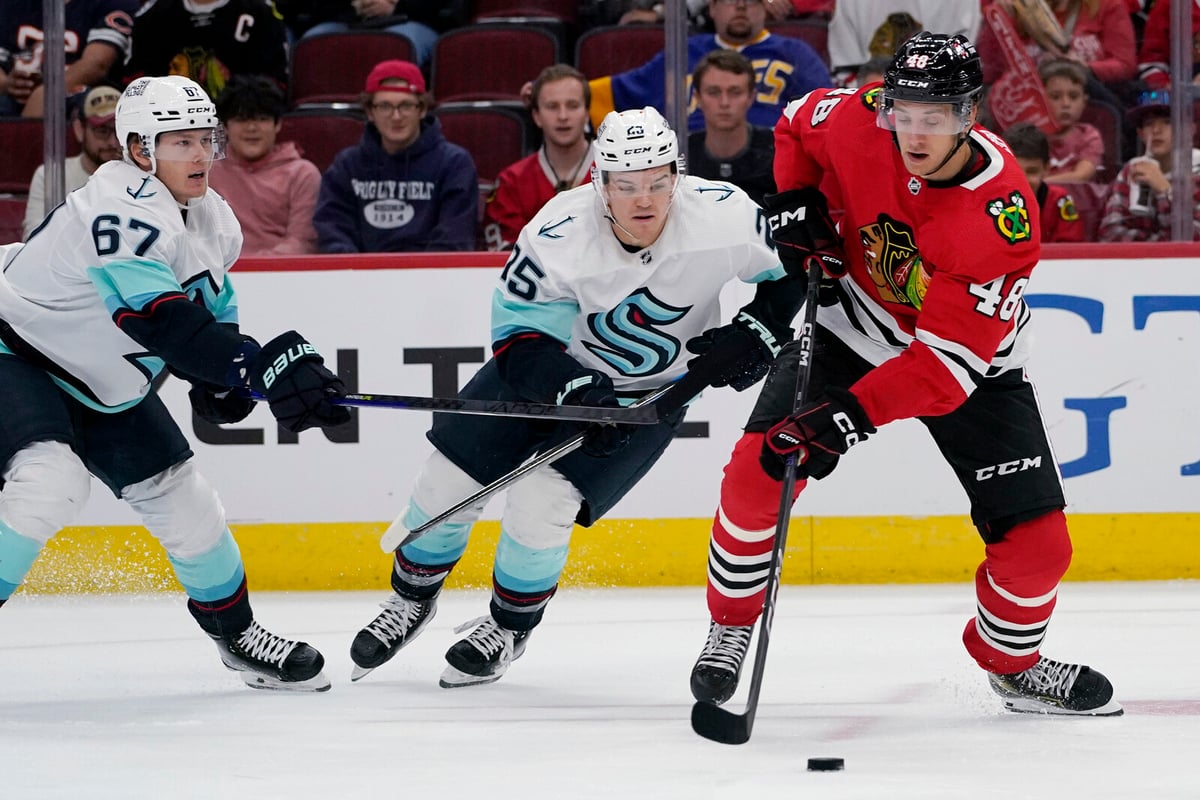 Filip Roos Returns to Färjestad from AHL to Strengthen Defense