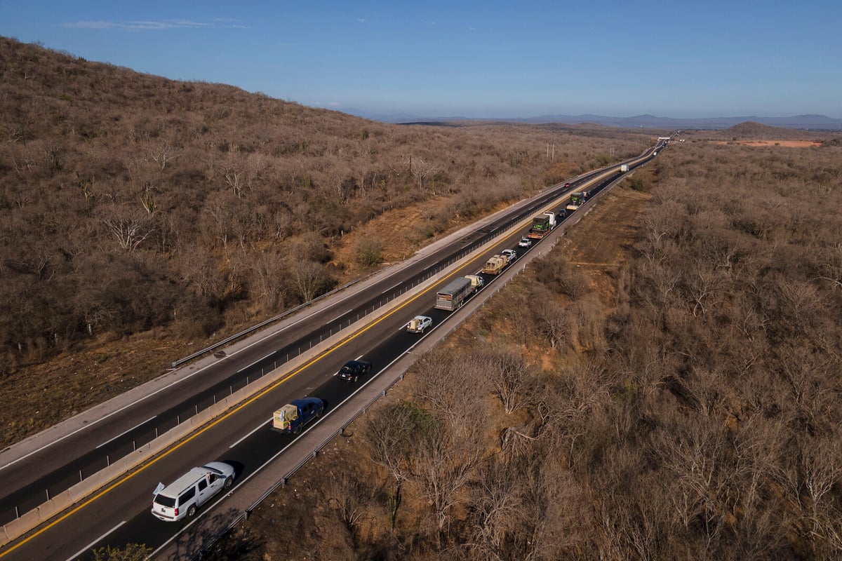 20 Bodies Discovered in Sinaloa Cartel Conflict Zone in Mexico