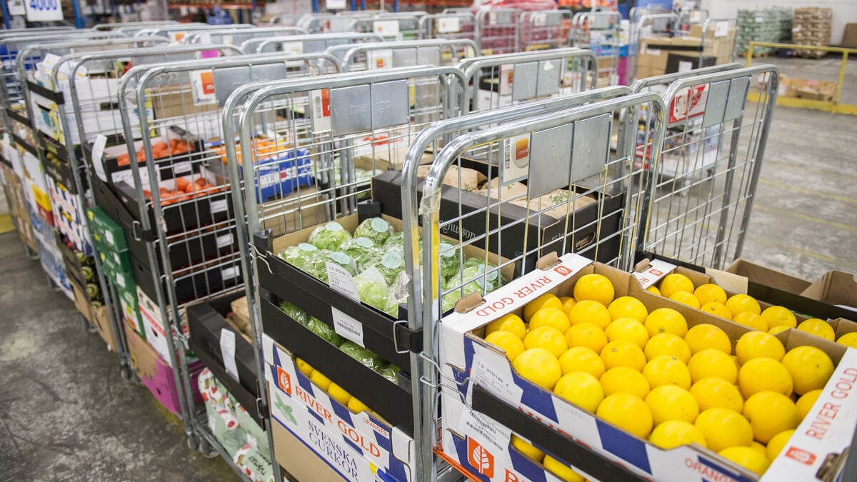 Producer prices edge up in July as lower electricity prices drag on domestic market