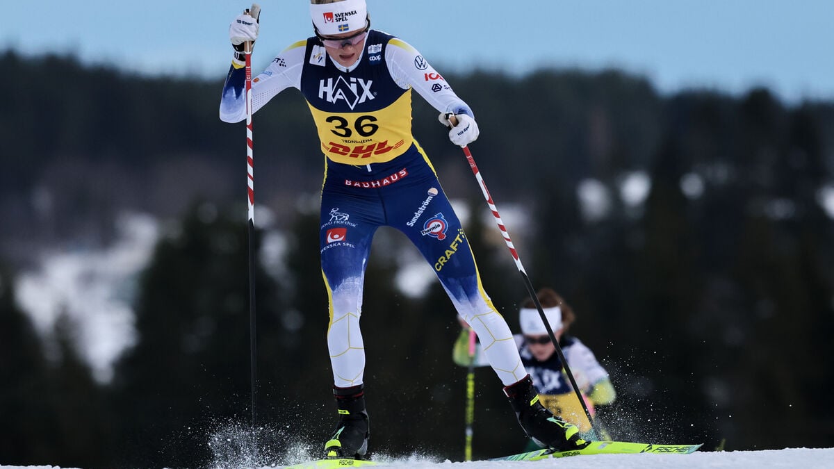 Swedish stars stand over Davos: "As planned"