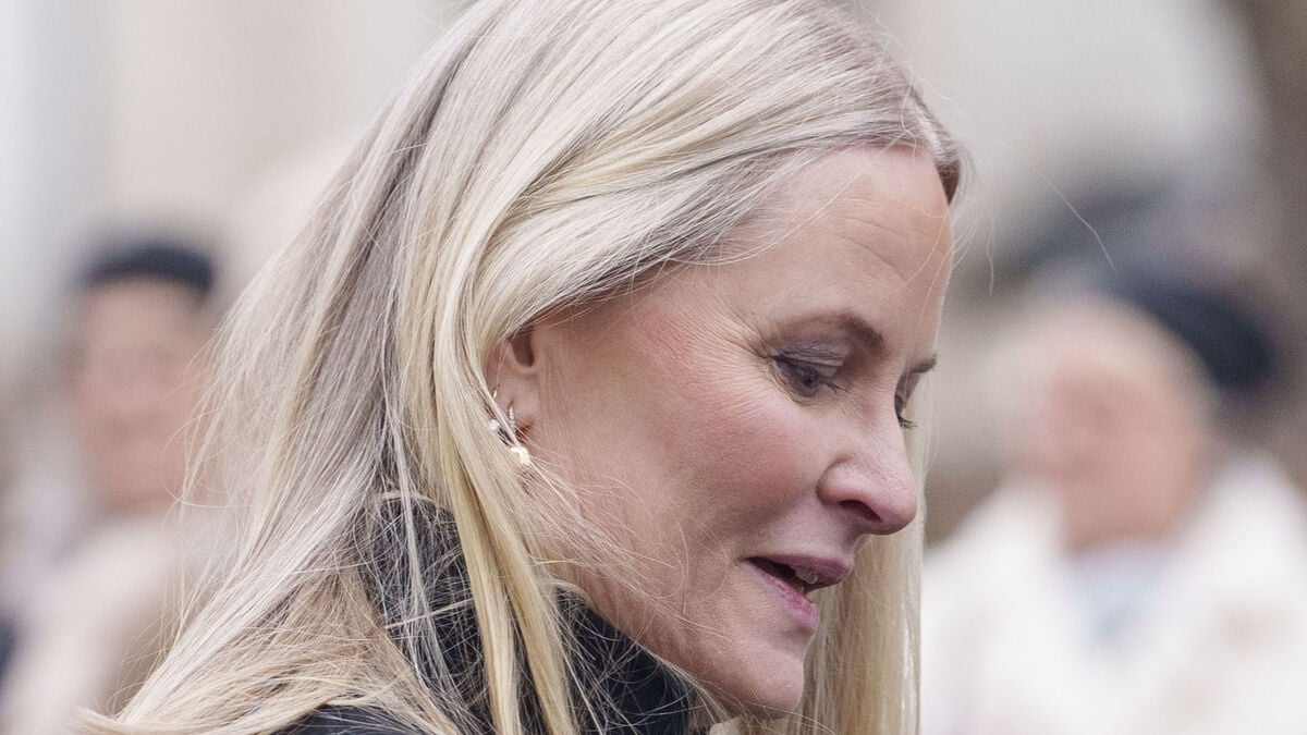 Norwegian Council for Mental Health pauses cooperation with Crown Princess Mette-Marit