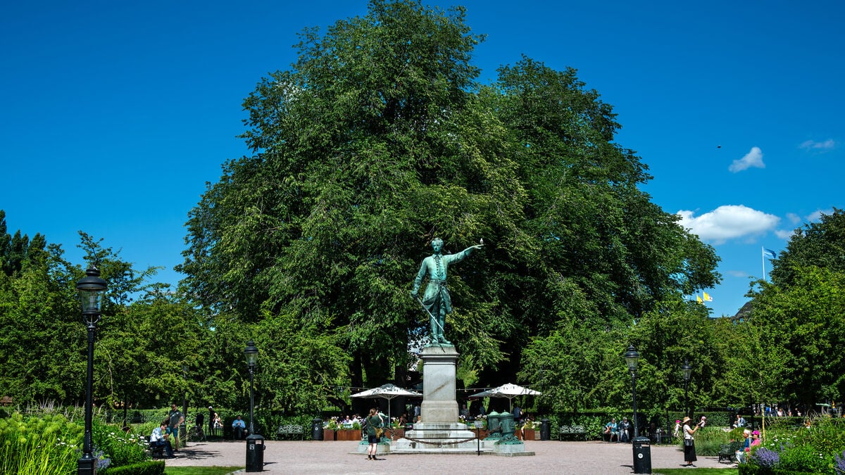 Charles XII's unknown field book found at Gothenburg University Library