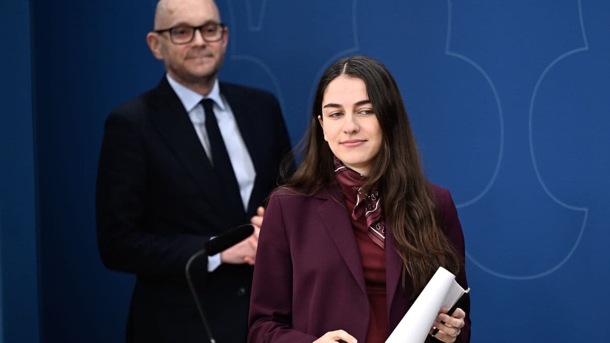 Johan Britz to replace Romina Pourmokhtari as Minister of Climate and Environment during parental leave