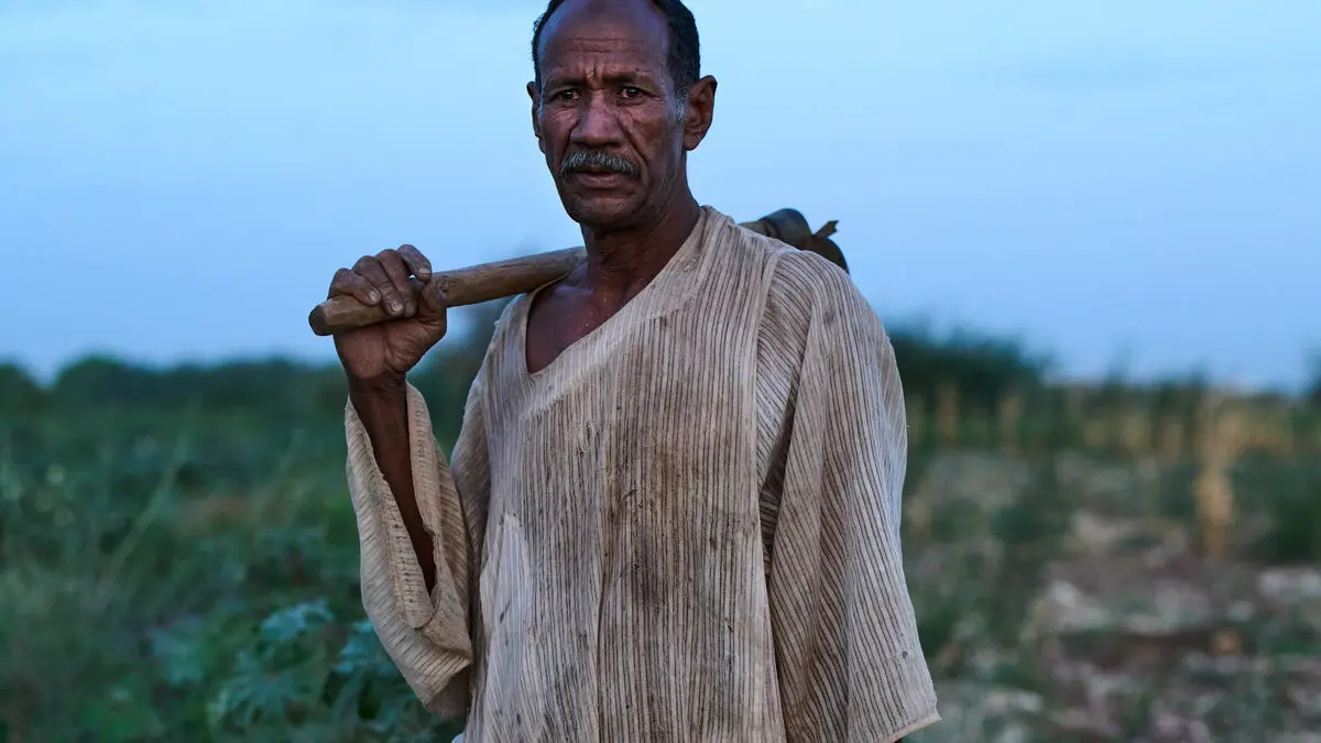 Fertilizer stuck in the Strait of Hormuz - agriculture already threatened in Africa