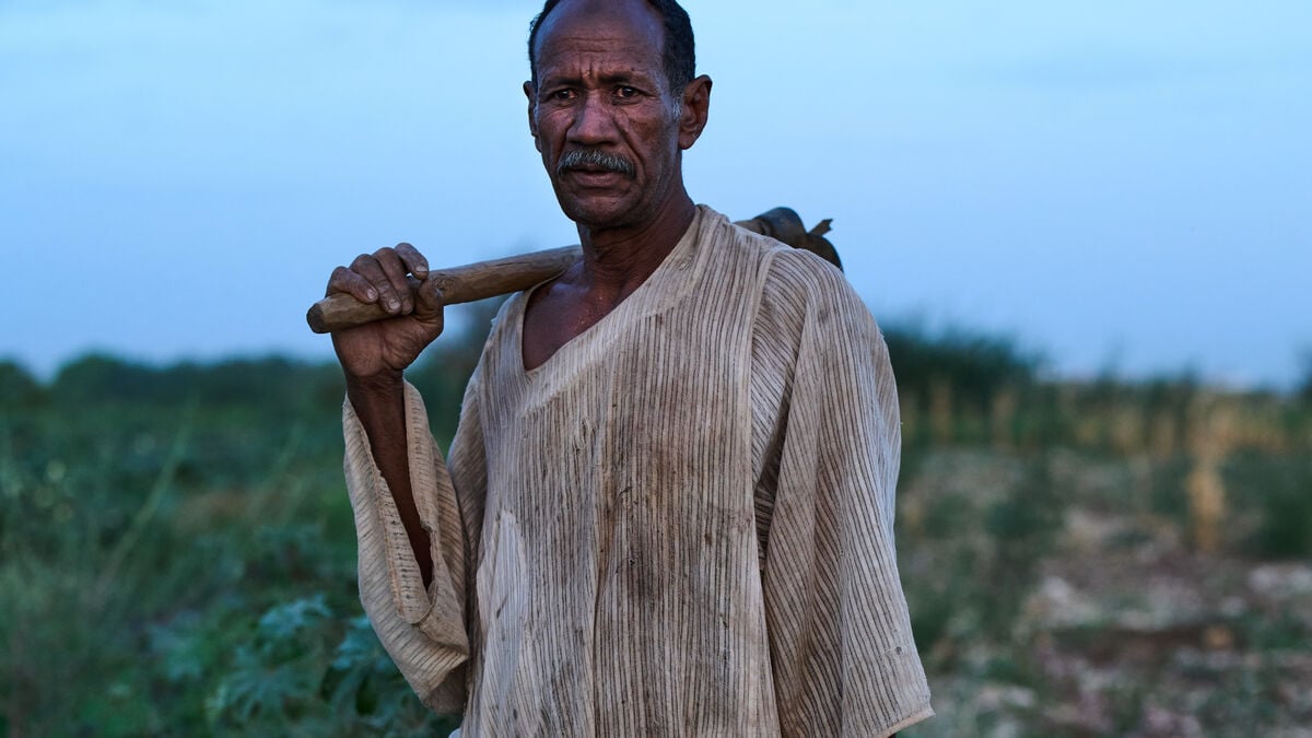 Fertilizer stuck in the Strait of Hormuz - agriculture already threatened in Africa