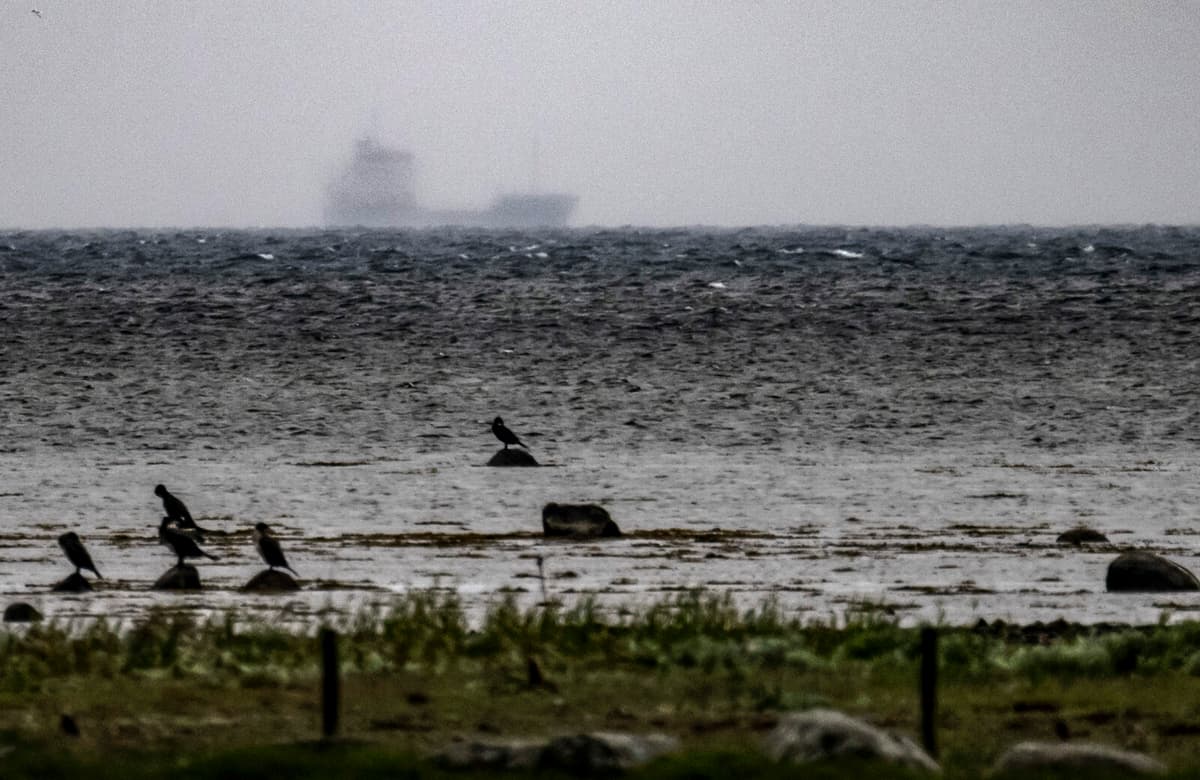 Man Detained After Bulk Carrier Runs Aground Near Malmö