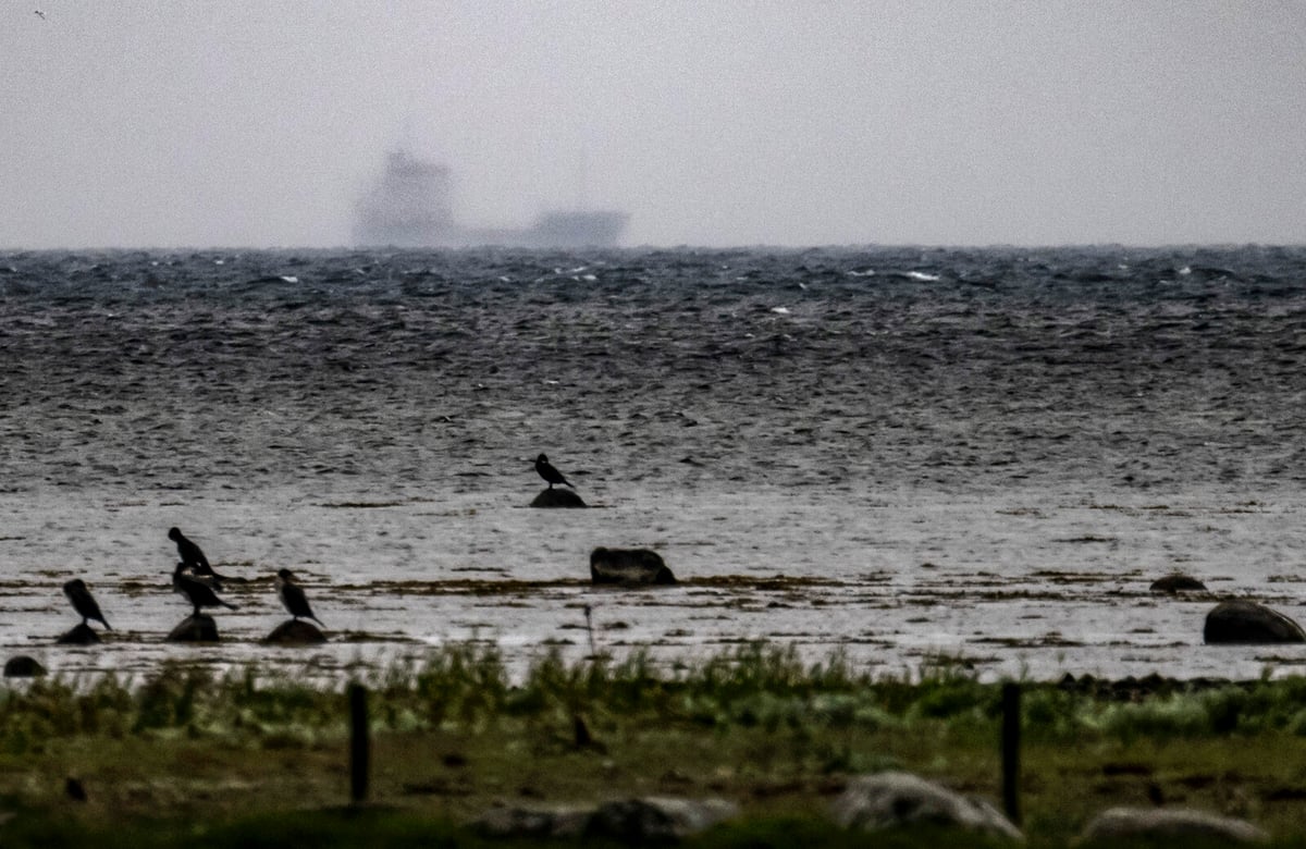 Man Detained After Bulk Carrier Runs Aground Near Malmö