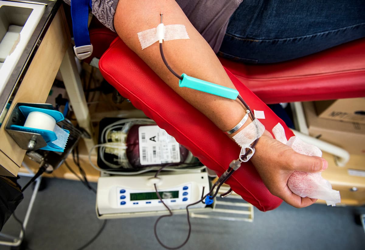 Tobias Registry Lowers Stem Cell Donation Age to 16