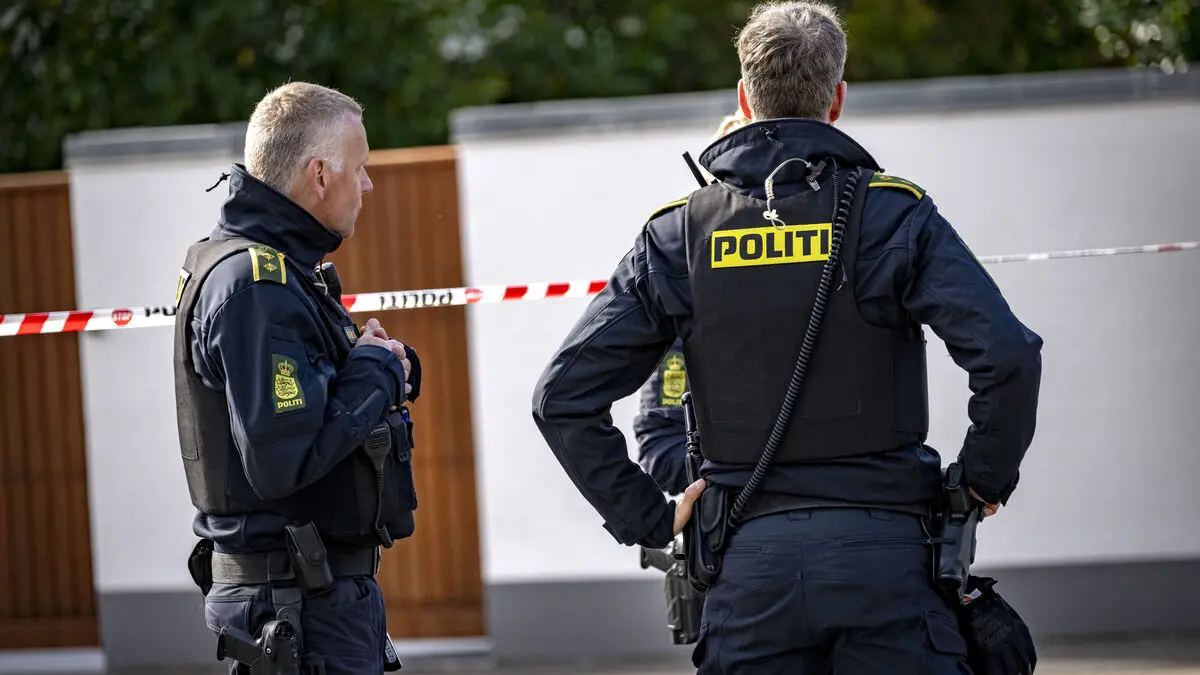 Swedes in majority among Denmark's gang torpedoes