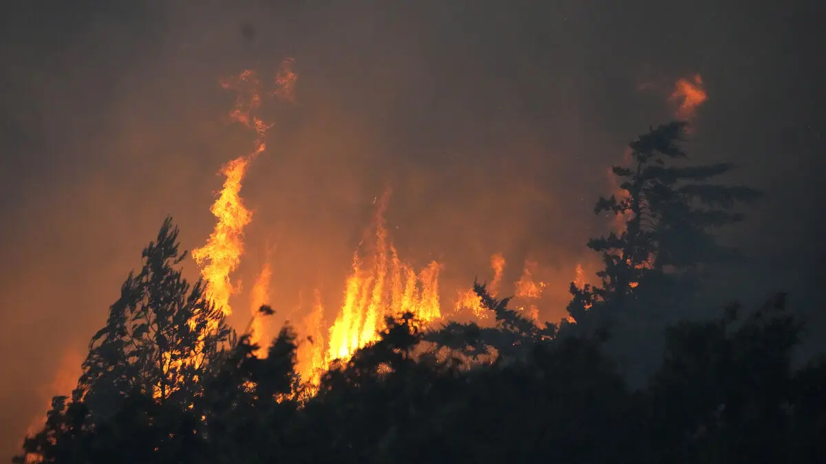 1,100 firefighters battle growing wildfire in Portugal amid extreme heat
