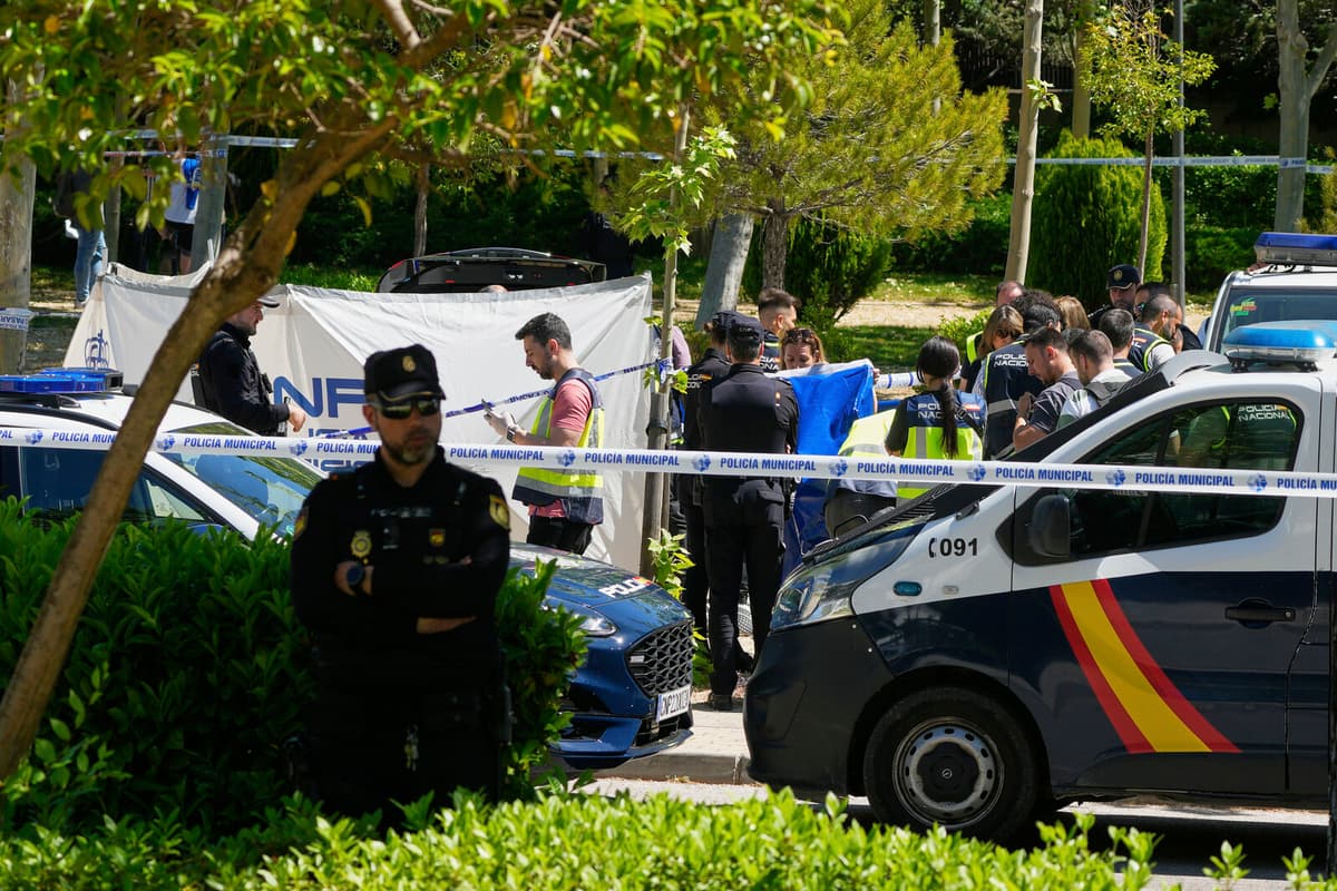 Former Ukrainian Politician Shot Dead Near Madrid
