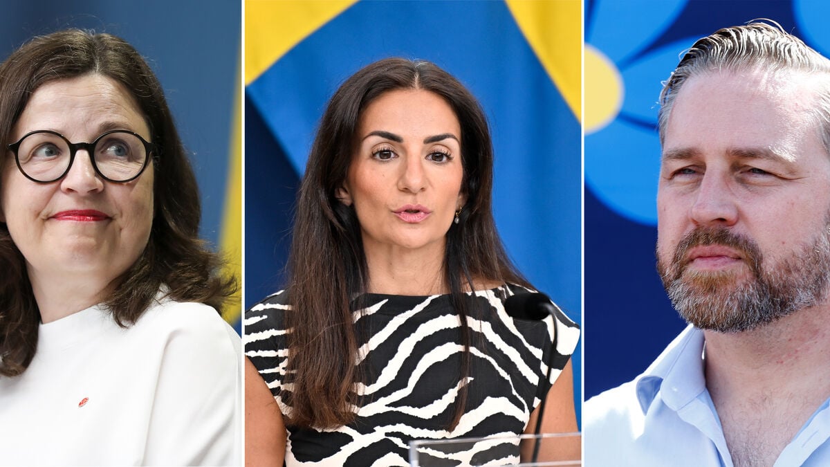 Could the next Culture Minister be a Sweden Democrat?