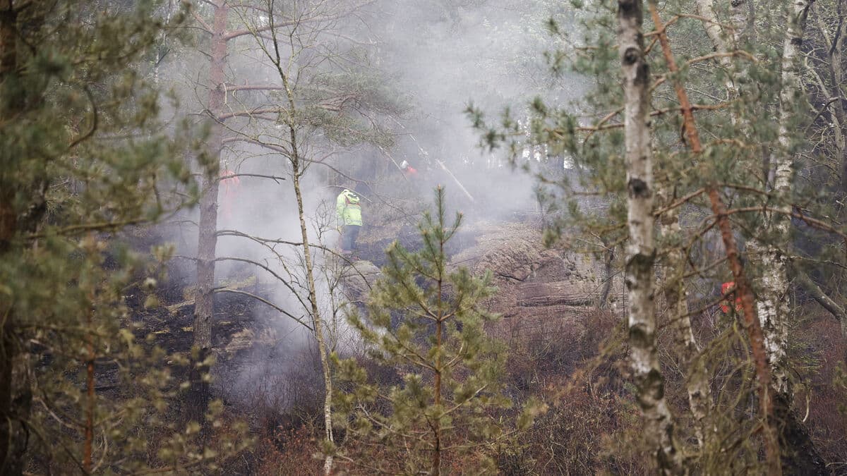 High forest fire risk in several parts of Sweden on Sunday, SMHI warns