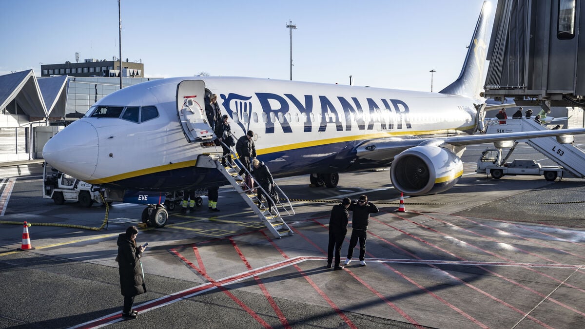 Ryanair says foreign object may have caused plane window incident that sucked man out of flight