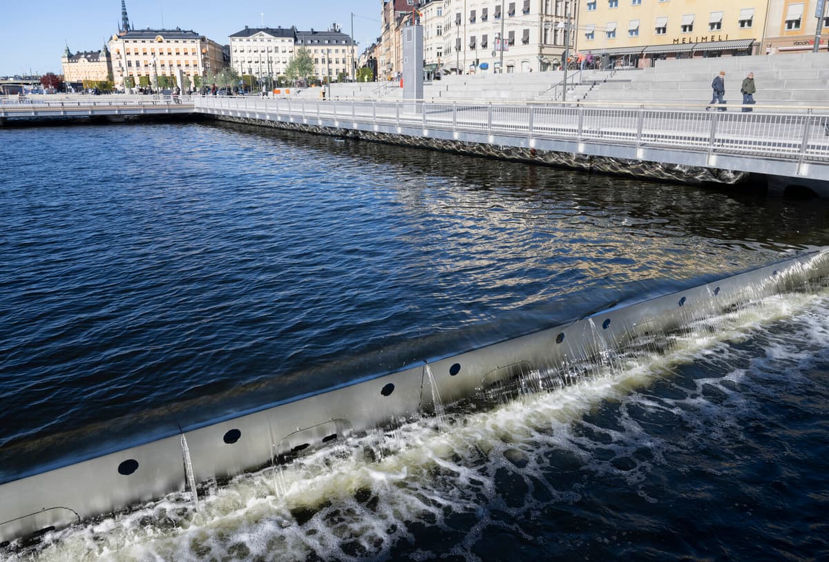 Stockholm Faces Frequent Water Quality Warnings Amid Climate Change