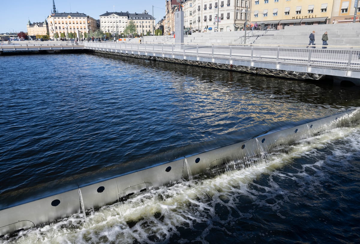 Stockholm Faces Frequent Water Quality Warnings Amid Climate Change