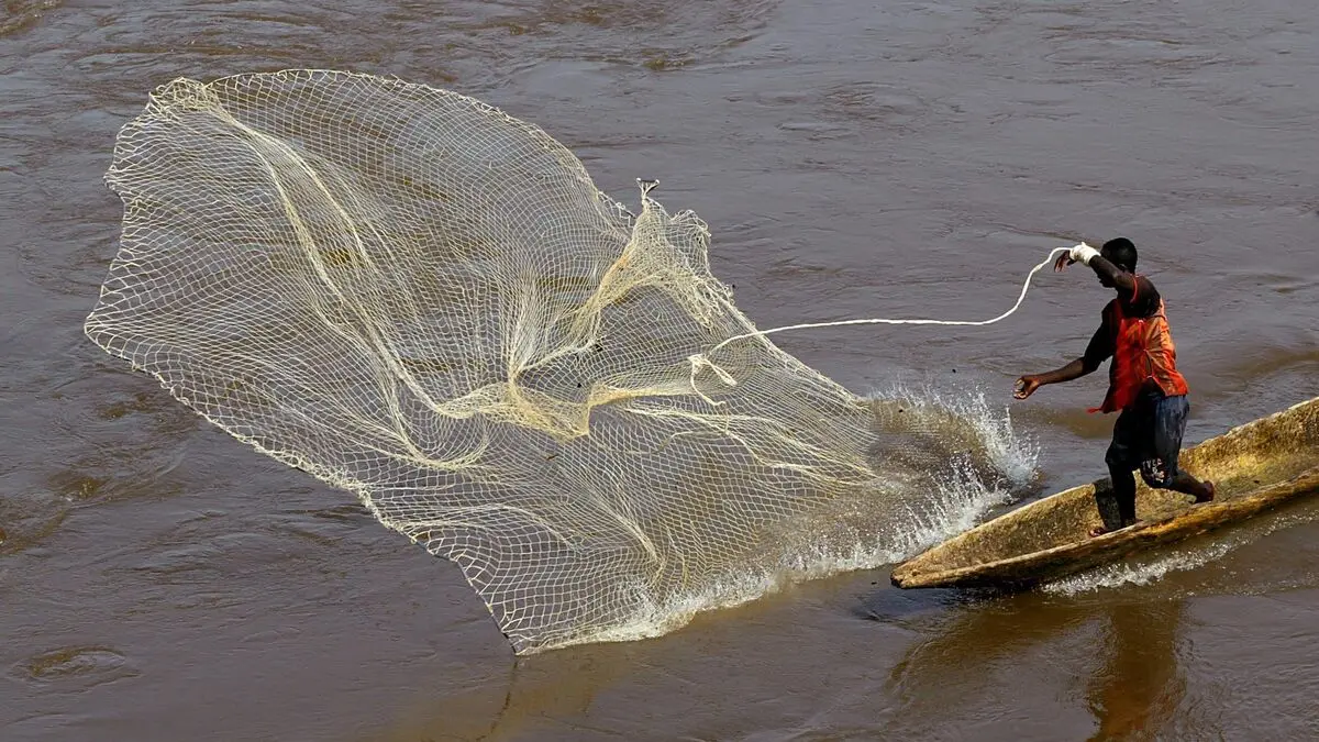 Fishing for plastic in the Congo River proves more profitable than catching fish