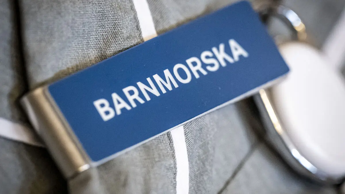 Swedish midwives warn of severe summer staffing shortages, survey finds