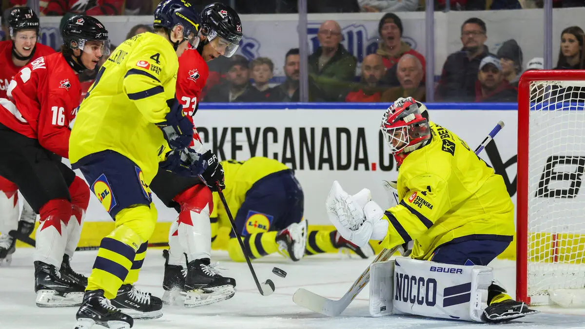 Sweden changes goalkeeper - the icon's son Herman Liv to start in goal against Germany