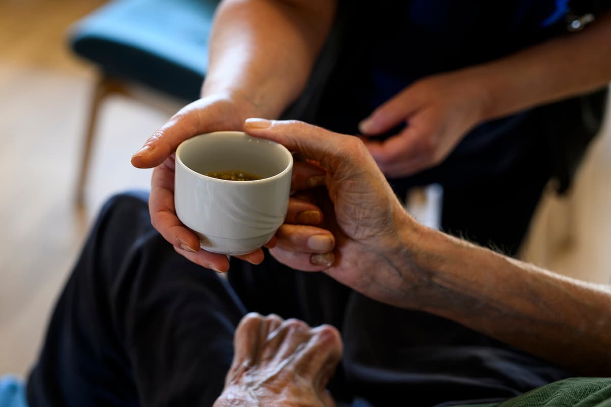 How Frontotemporal Dementia Alters Personality