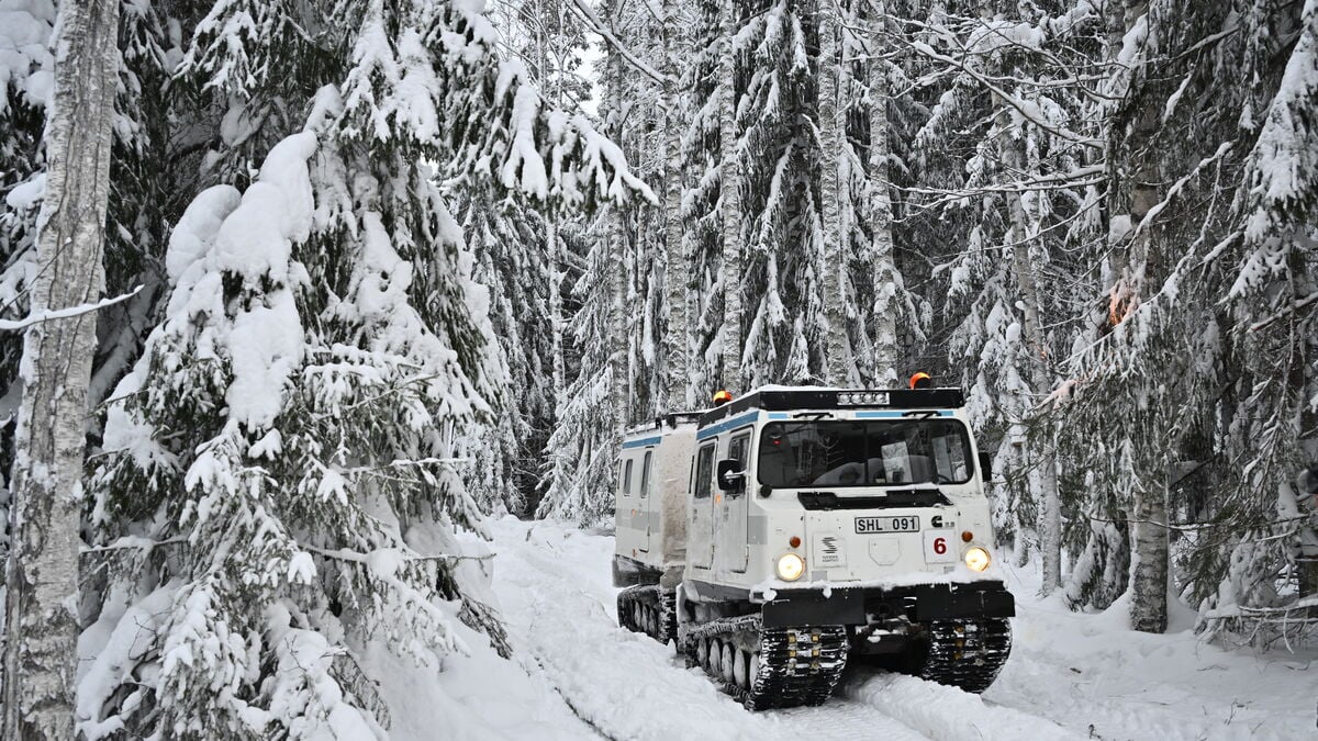 The general store in Åmot had to throw away SEK 73,000 worth of food in the snow chaos