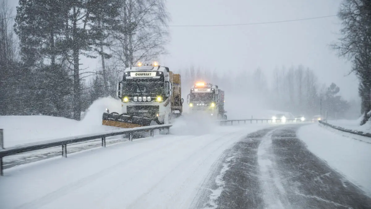 Closed schools and canceled trains