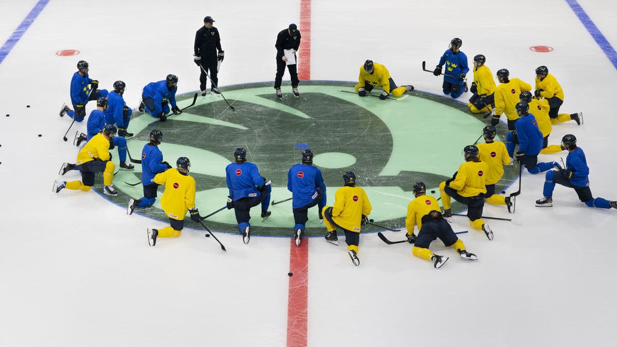 Guide: Sweden's World Cup debut