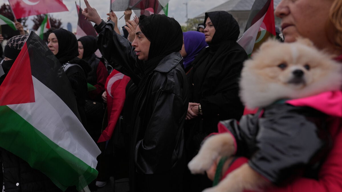 Swedish activist detained in Global Sumud Flotilla case remains in Israeli prison