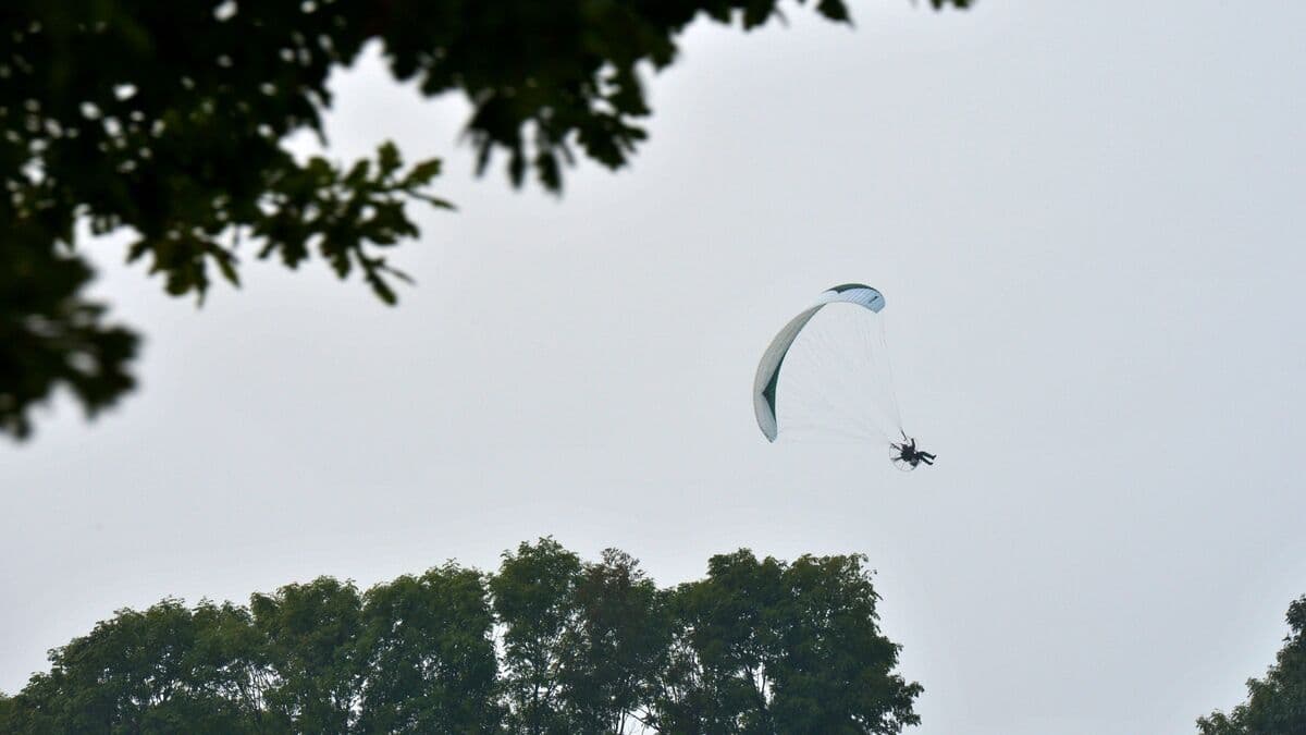 Two paragliders stuck in trees in separate accidents