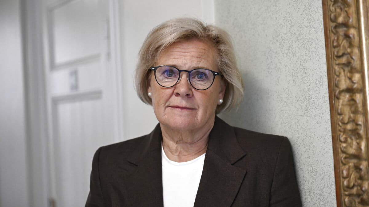 Sweden Needs 10,000 More Police Officers, Says Commissioner