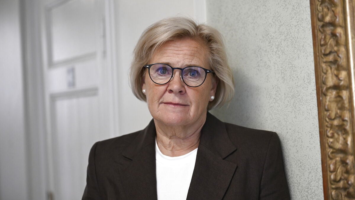 Sweden Needs 10,000 More Police Officers, Says Commissioner