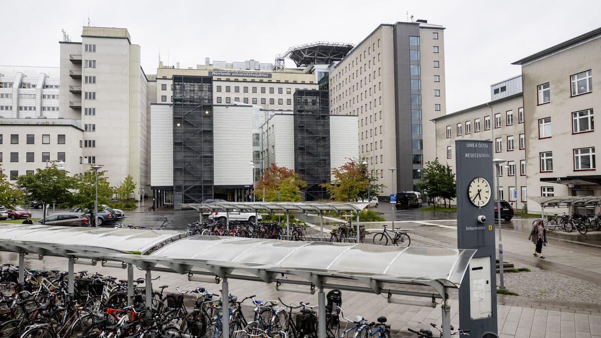Umeå Hospital Activates Reinforcement Mode Amid Bed Shortage