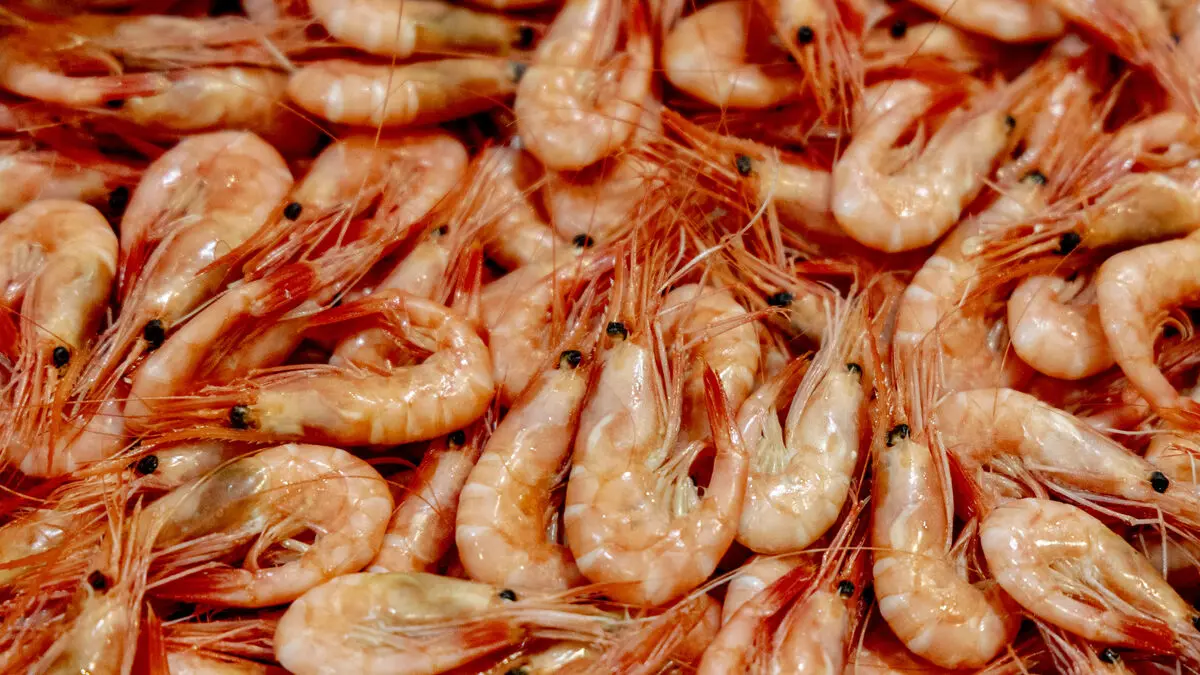 Chicken baguette recalled – could be shrimp baguette