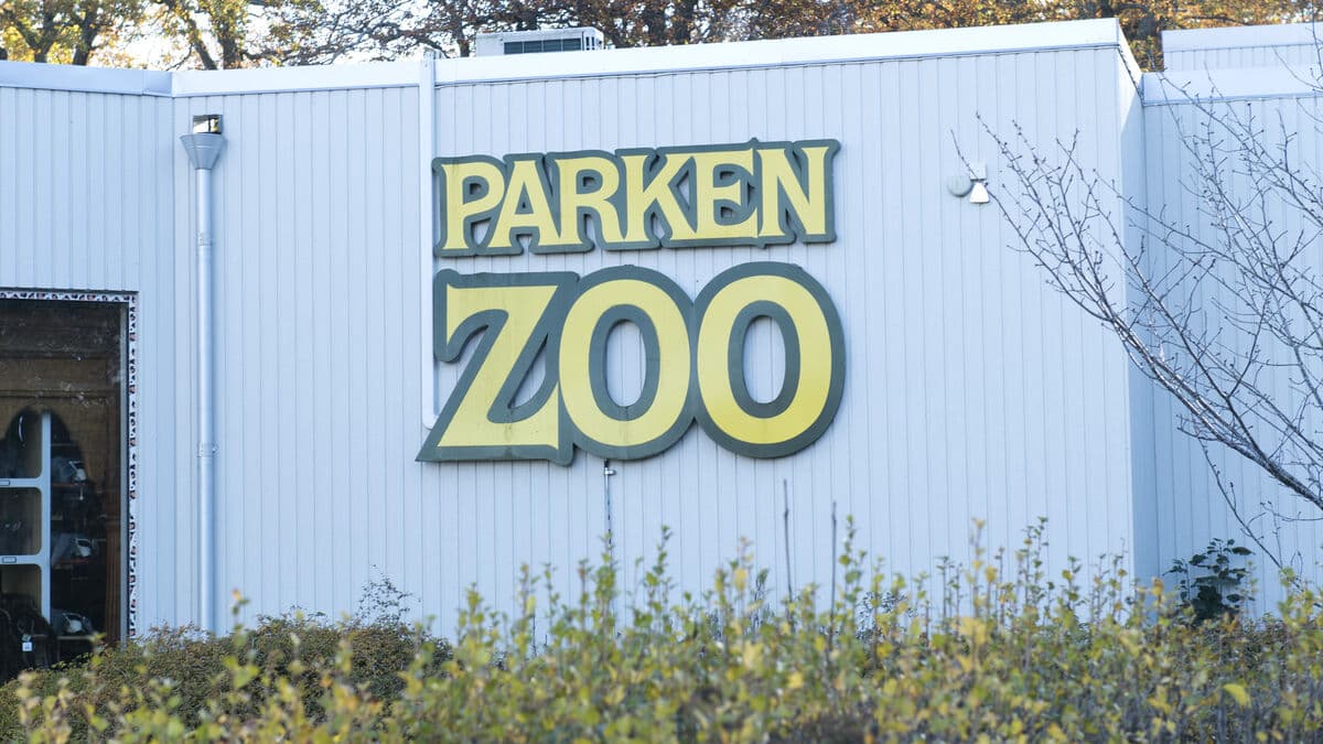 Carousel stopped at Parken Zoo after woman suffers neck injury