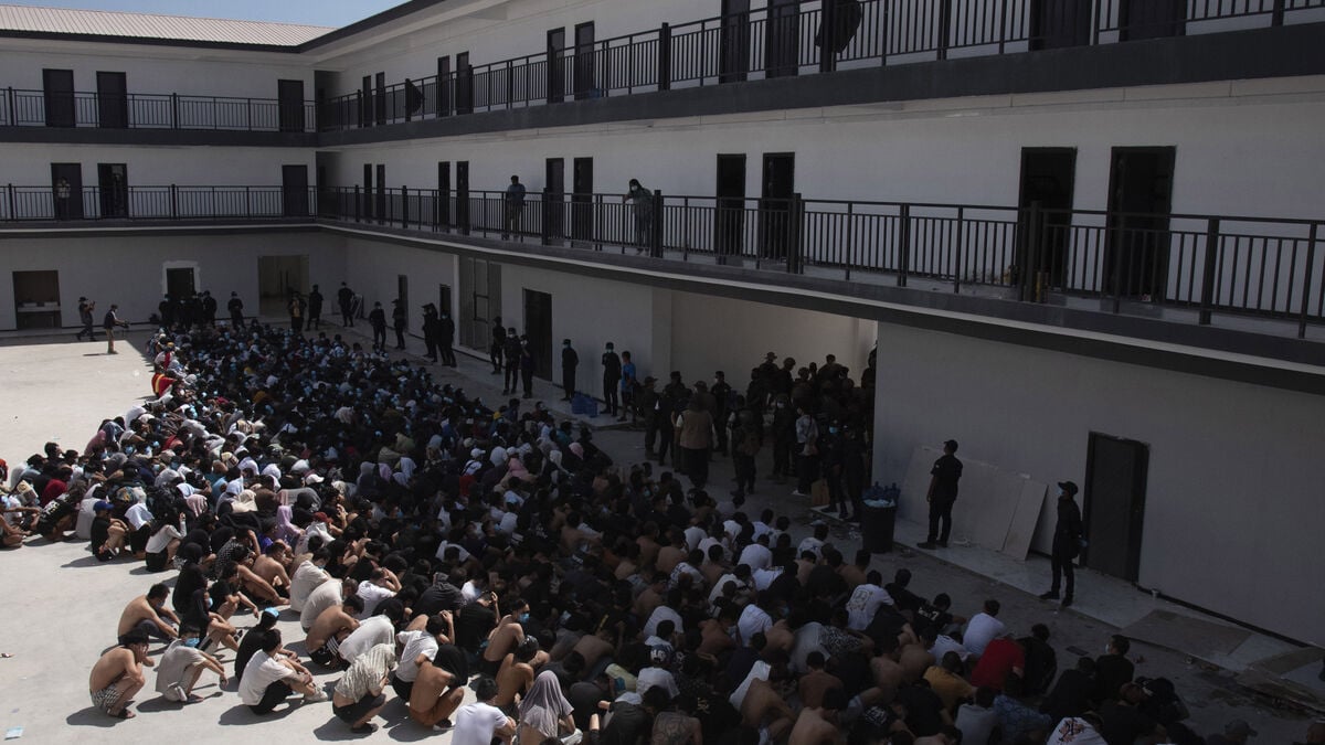 Crackdown on "fraud factories": 1,600 arrested