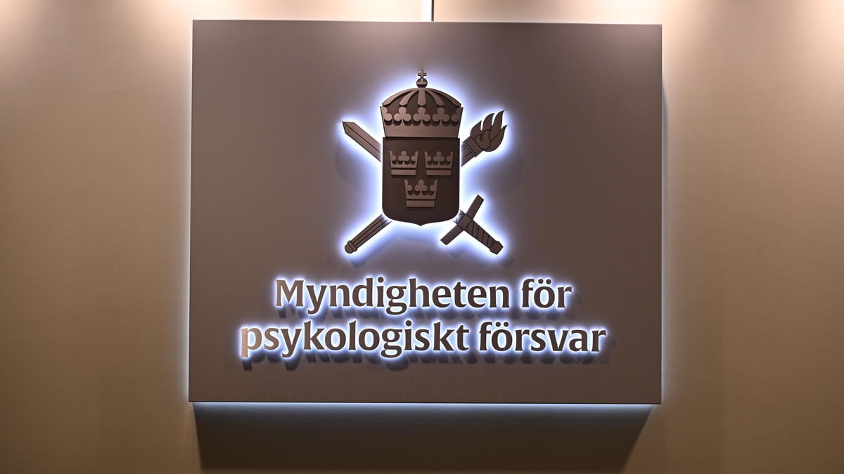 Sweden saw no major cyberattacks or foreign influence campaigns during election, agency says