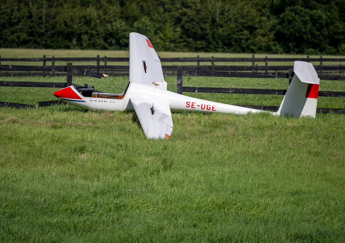 Sailplane Makes Emergency Landing in Ystad Horse Pasture