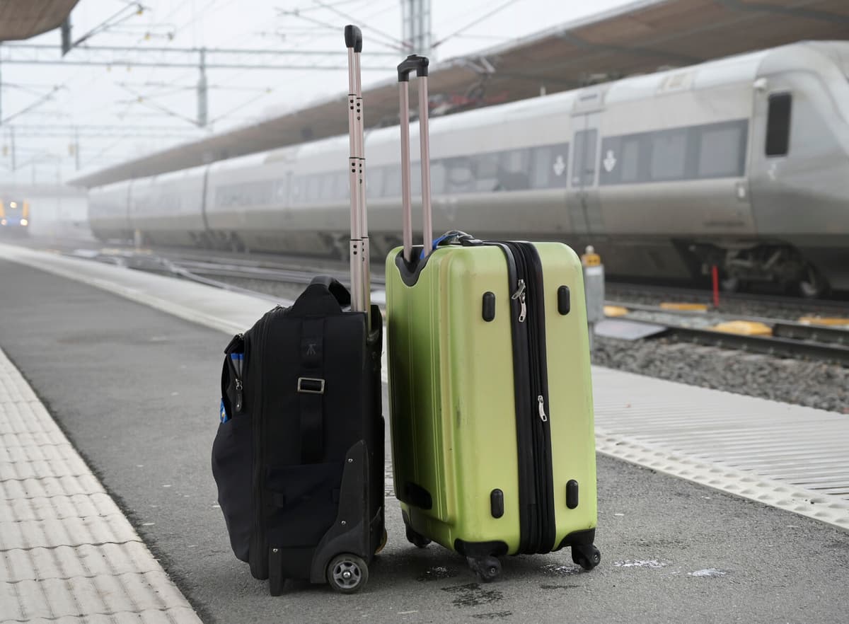 Government's Repatriation Grant Increase Raises Fraud Concerns